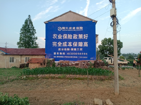 万州墙体广告为何受追捧？